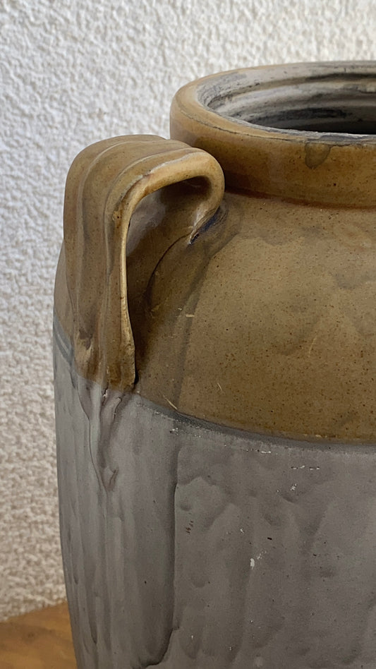 vazonas_dziovintoms_gelems