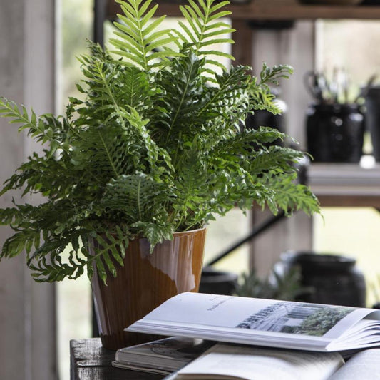 Rudas vazonas su grioveliais - Myhyggehome.lt