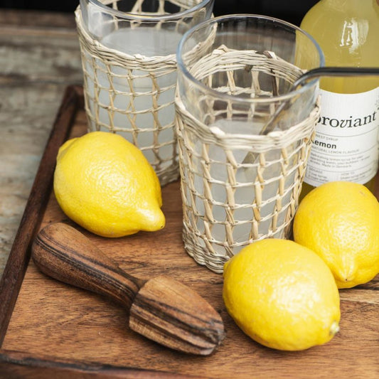 Citrusinių vaisių spaustuvas - Myhyggehome.lt